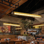 Linear Glass Chandelier with Integrated LED – Modern Kitchen Island Lighting