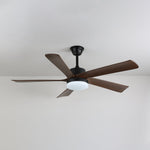 Auralin Breeze Ceiling Fan with LED Light in Walnut Wood