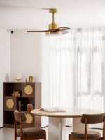 Aurevo Ceiling Fan Light with LED and Walnut Blades