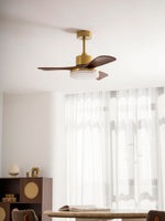 Aurevo Ceiling Fan Light with LED and Walnut Blades