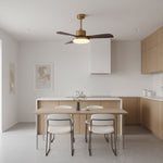 Aurevo Ceiling Fan Light with LED and Walnut Blades