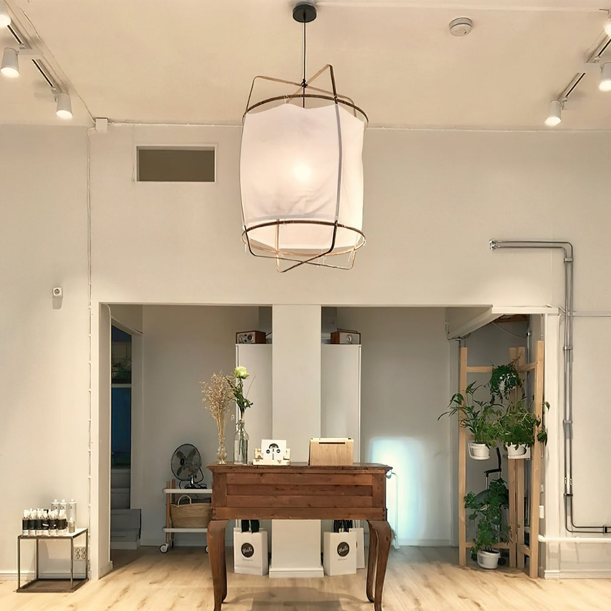 Ay Illuminate Pendant Light
