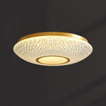 Ayla LED Ceiling Light