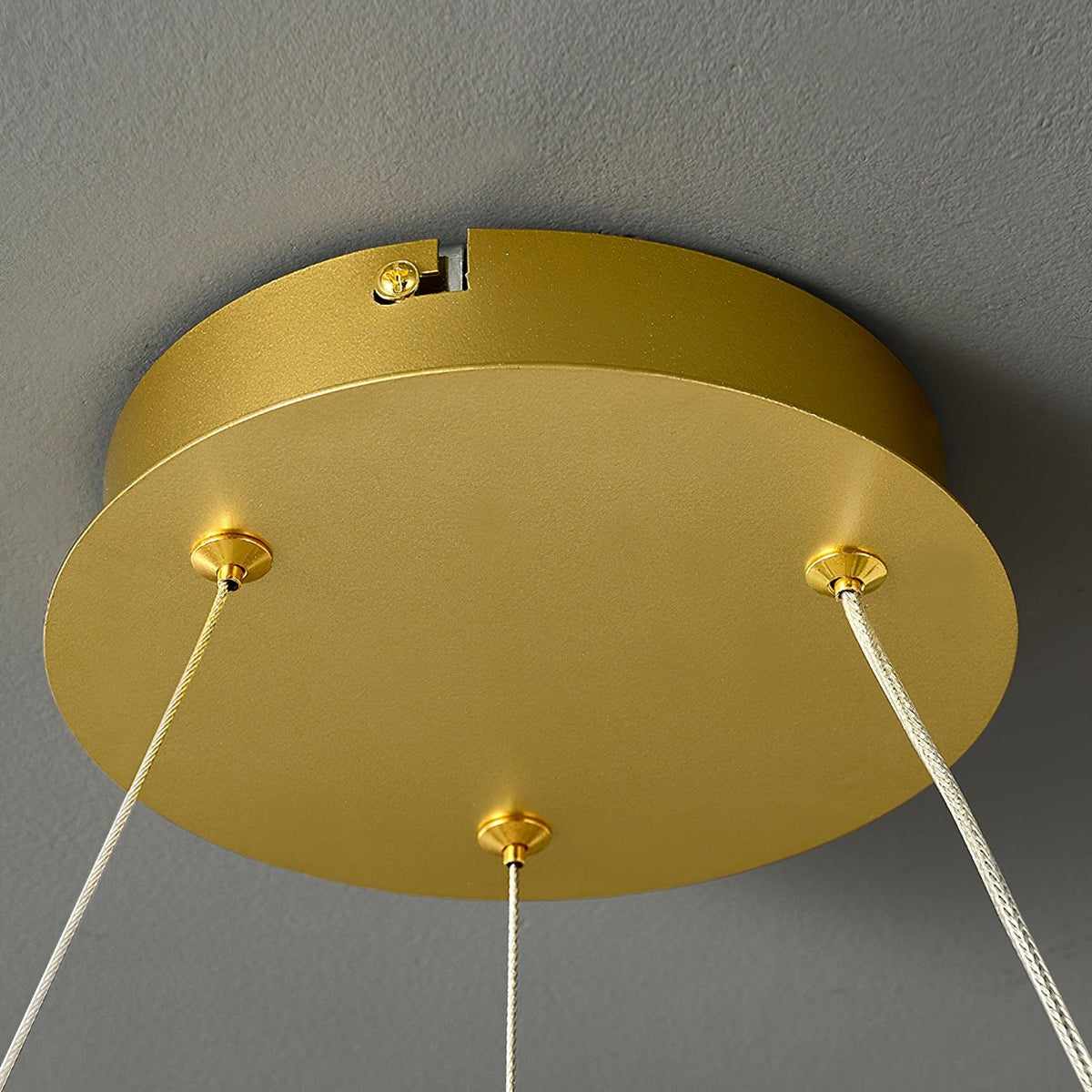 Bain Flying Flowers Chandelier — Gold Acrylic LED Pendant Light