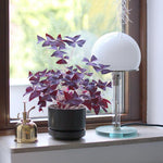 bauhaus-table-lamp