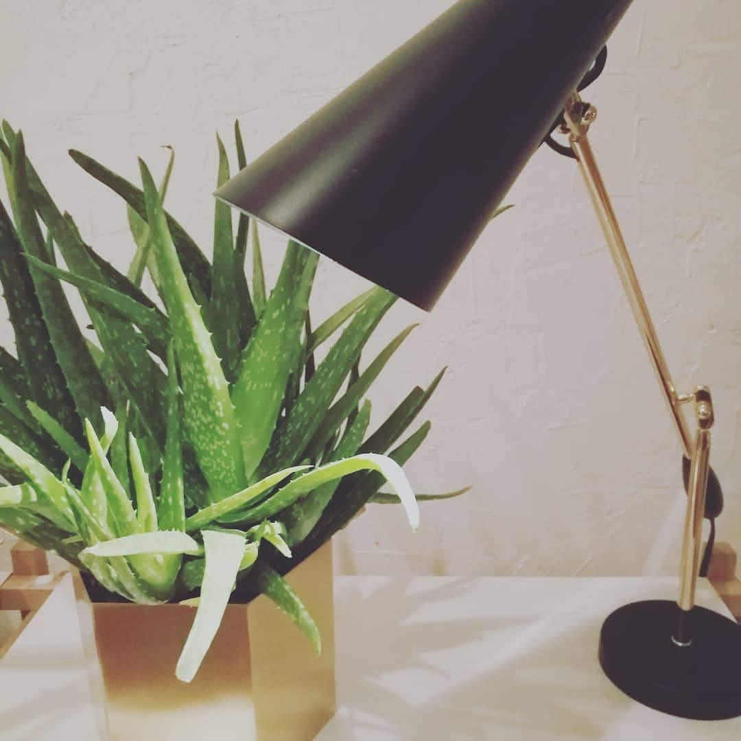 birdy-table-lamp