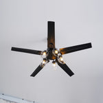 Glass Ball Ceiling Fan light