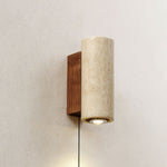 Blend Plug In Wall Sconce