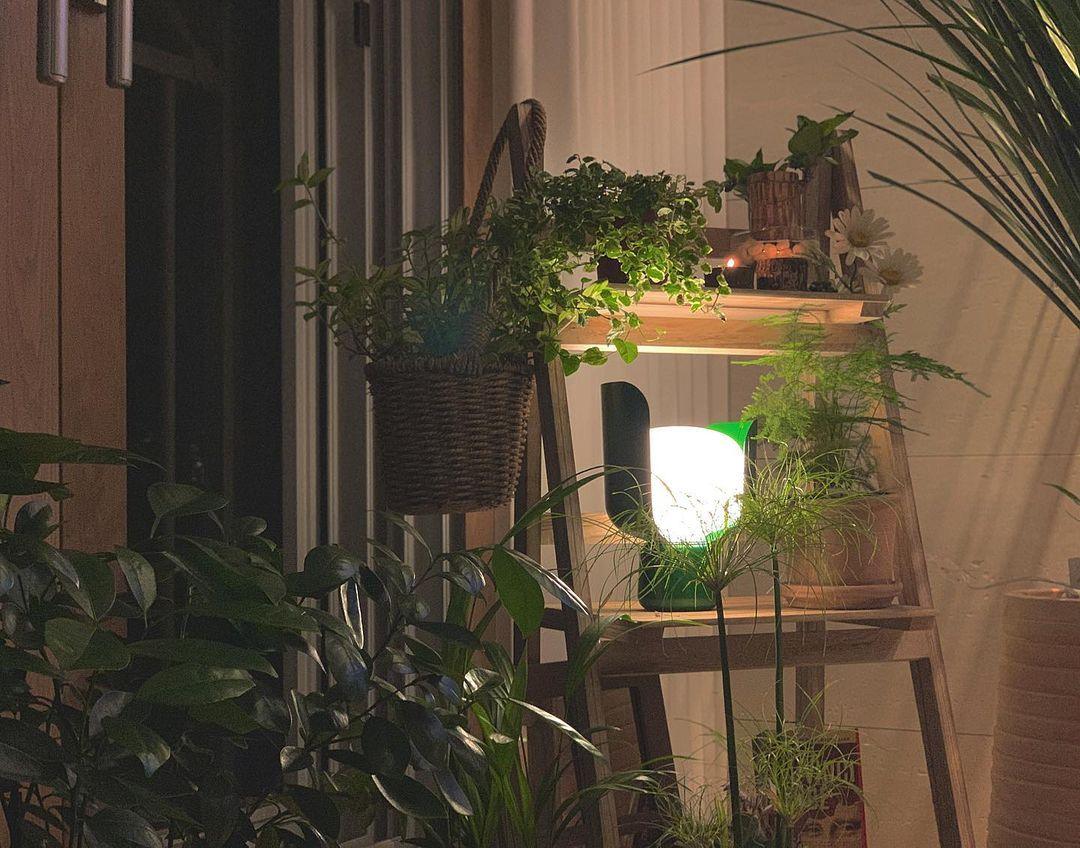 Blom Table Lamp