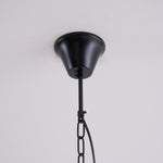 braeden-pendant-light