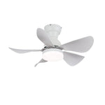 Arilia 29" LED Ceiling Fan Light with Walnut Blades