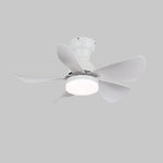 Arilia 29" LED Ceiling Fan Light with Walnut Blades