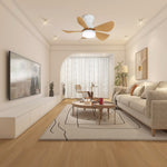 Arilia 29" LED Ceiling Fan Light with Walnut Blades