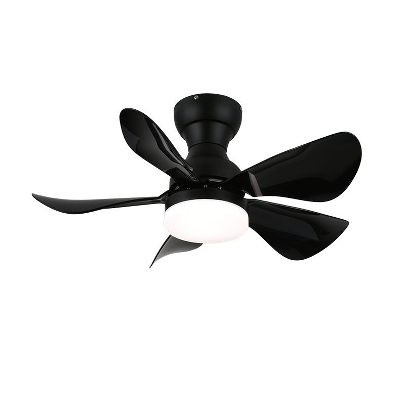 Arilia 29" LED Ceiling Fan Light with Walnut Blades