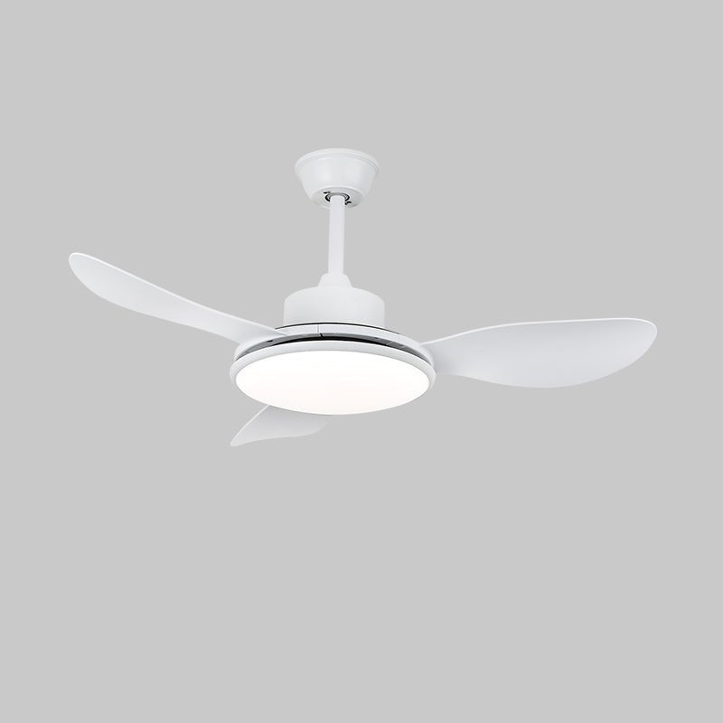 Brinley Ceiling Fan Light with LED, 42" & 52" Options, Modern Design