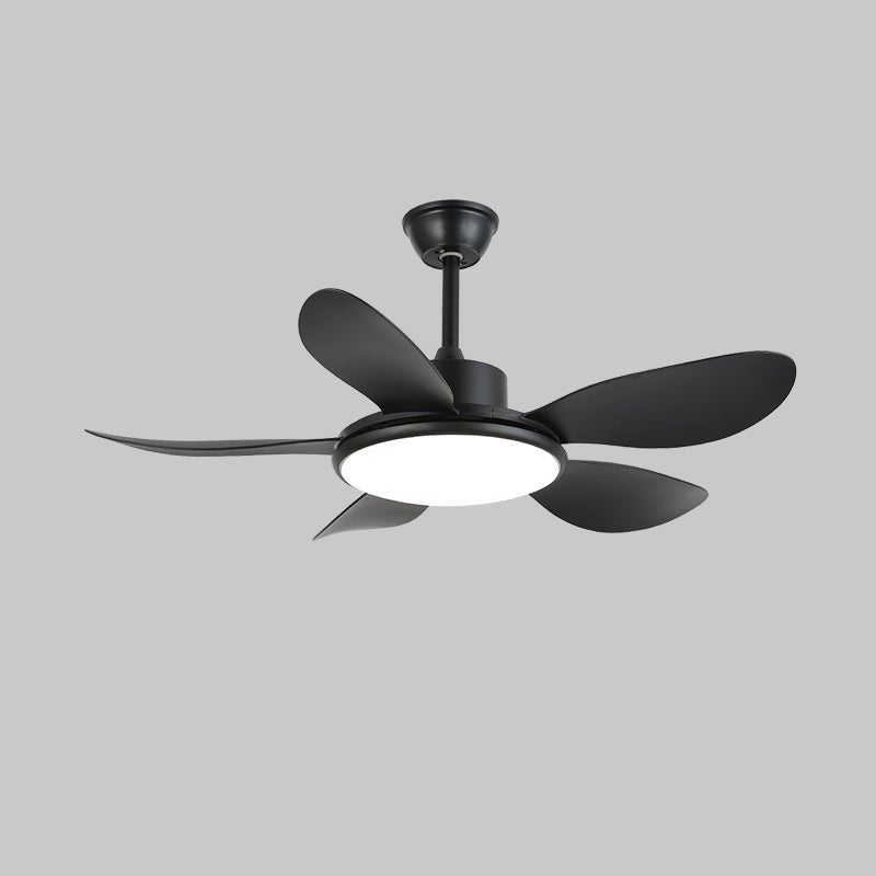 Brinley Ceiling Fan Light with LED, 42" & 52" Options, Modern Design