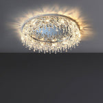 Butterfly Crystal Ceiling Light