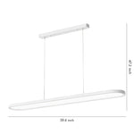 Modern Oval LED Pendant Light in Black, White, or Coffee