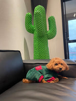 Mello Sculptural Cactus Coat Rack – Modern Entryway Sculpture