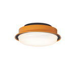 Caelan Modern Flush Mount Ceiling Light with Amber Ring and Glass Dome
