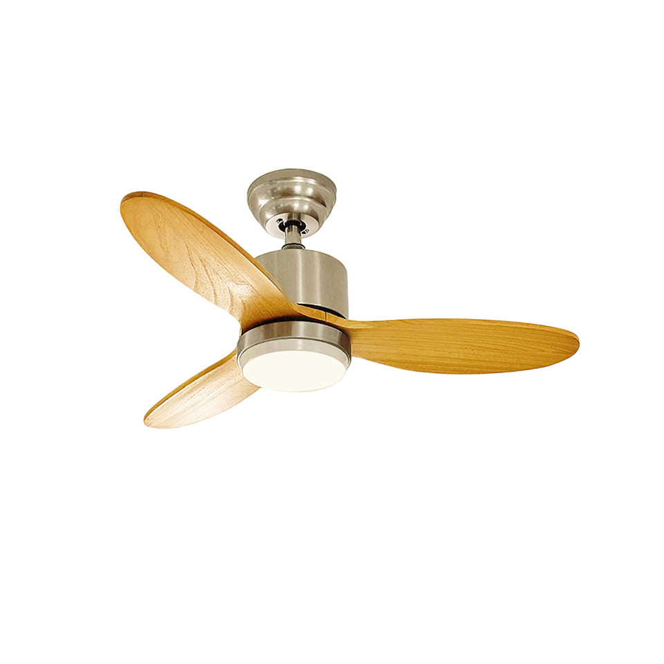 calisse-ceiling-fan-light