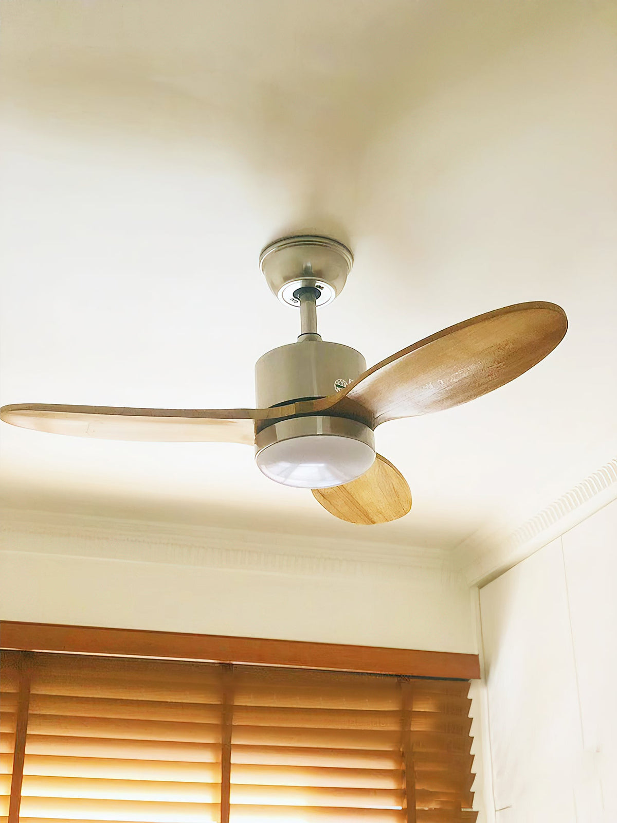 calisse-ceiling-fan-light