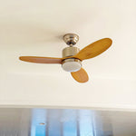 calisse-ceiling-fan-light