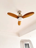 calisse-ceiling-fan-light