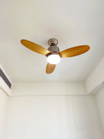 calisse-ceiling-fan-light