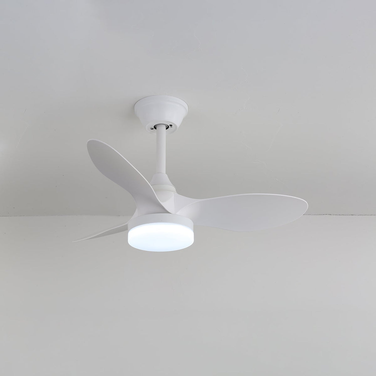 Callum Modern Ceiling Fan Light with Integrated LED and Remote