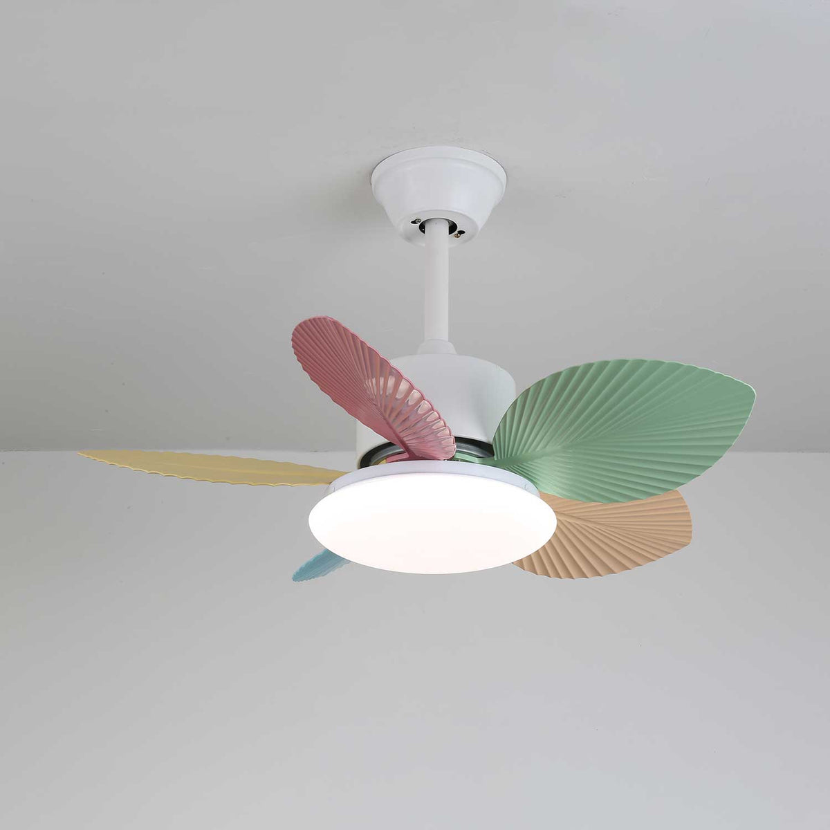 Candy Breeze Designer Ceiling Fan Light with Pastel Blades and Amber Glass Shade
