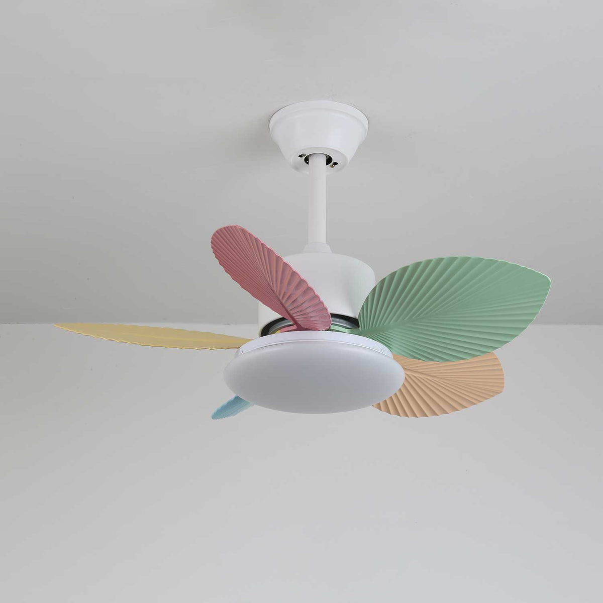 Candy Breeze Designer Ceiling Fan Light with Pastel Blades and Amber Glass Shade
