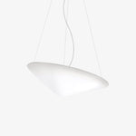 Cao Mao Pendant Light – Modern Designer LED Ceiling Lamp