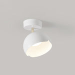 Carins Ceiling Light