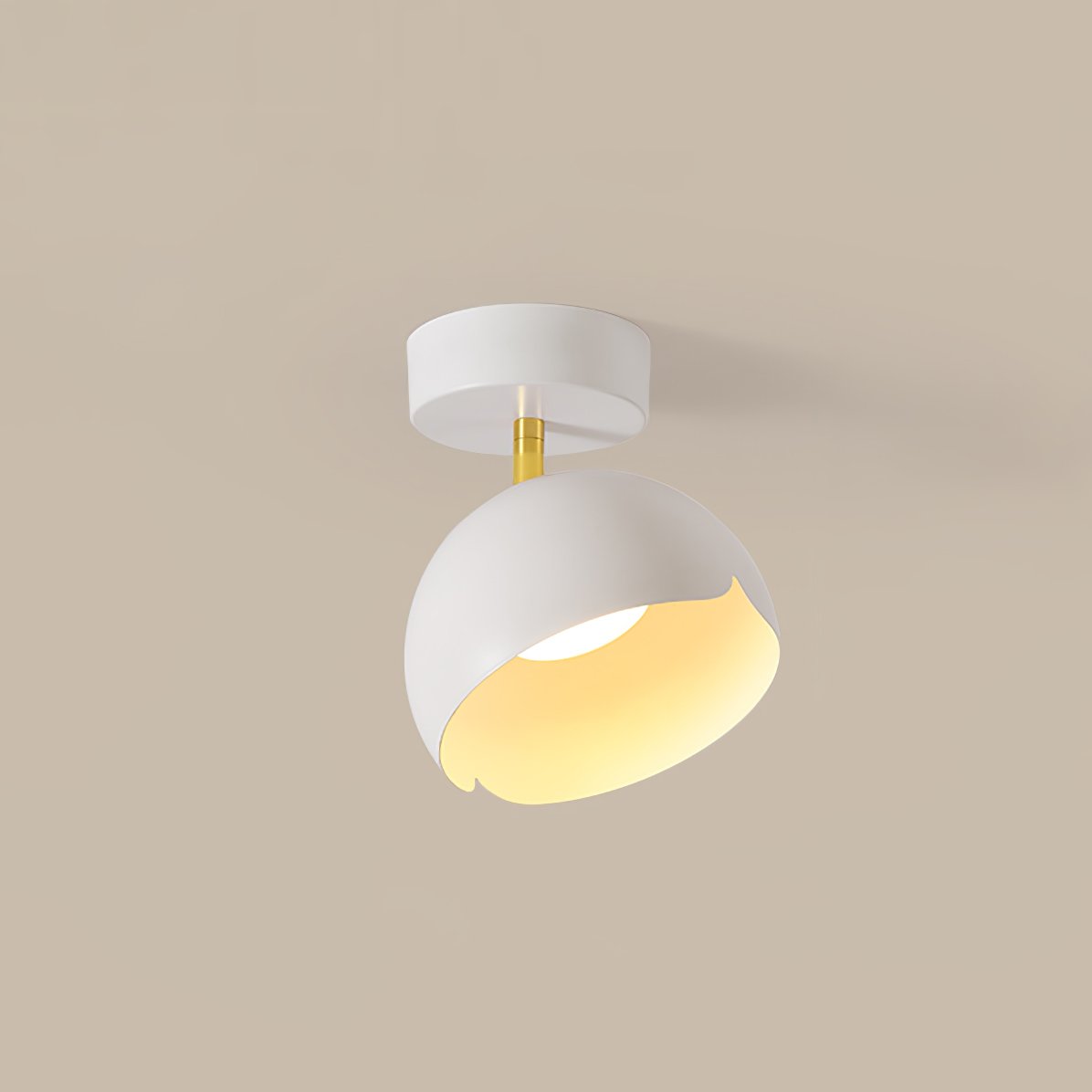 Carins Ceiling Light