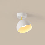 Carins Ceiling Light