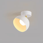 Carins Ceiling Light