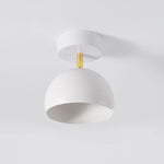 Carins Ceiling Light