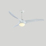 Traditional Ceiling Fan Light