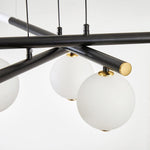 Cellar Suspension Modern LED Chandelier in Black and White
