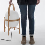 Portable 1 Light Global Led And Standing Frame Table Lamp