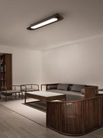 channel-ceiling-lamp