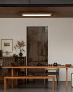channel-ceiling-lamp