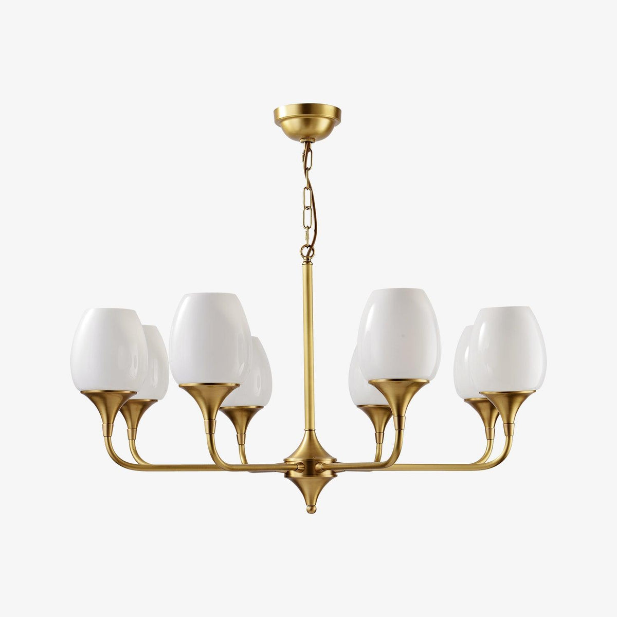 Charlie Eight-Light Brass Chandelier with Glass Shades for Dining and Living Rooms
