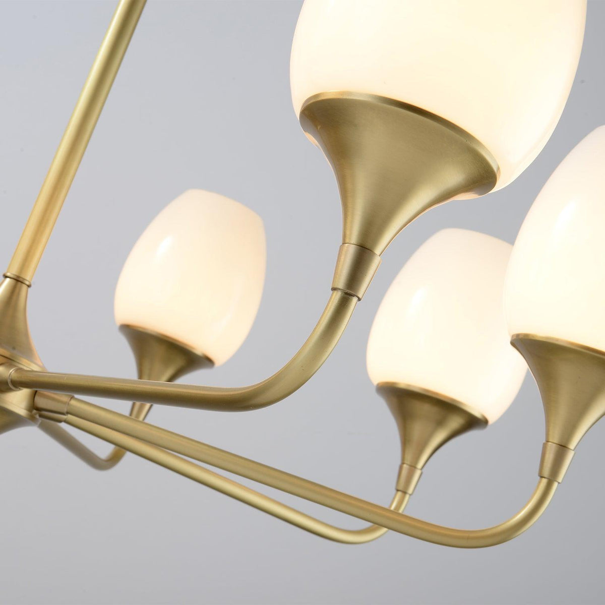 Charlie Eight-Light Brass Chandelier with Glass Shades for Dining and Living Rooms