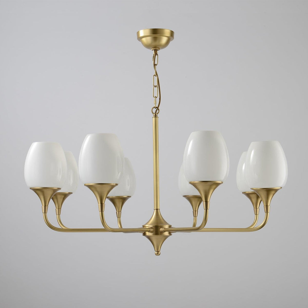Charlie Eight-Light Brass Chandelier with Glass Shades for Dining and Living Rooms