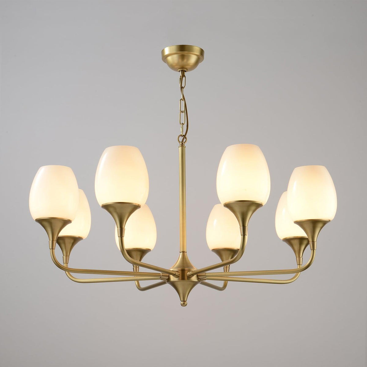 Charlie Eight-Light Brass Chandelier with Glass Shades for Dining and Living Rooms