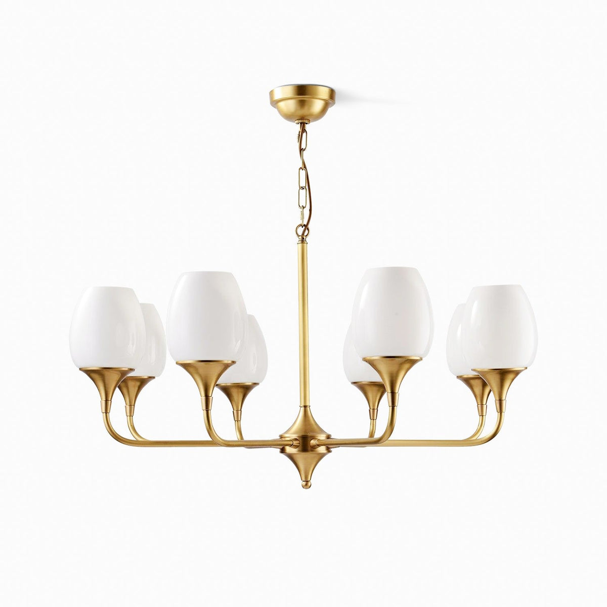 Charlie Eight-Light Brass Chandelier with Glass Shades for Dining and Living Rooms