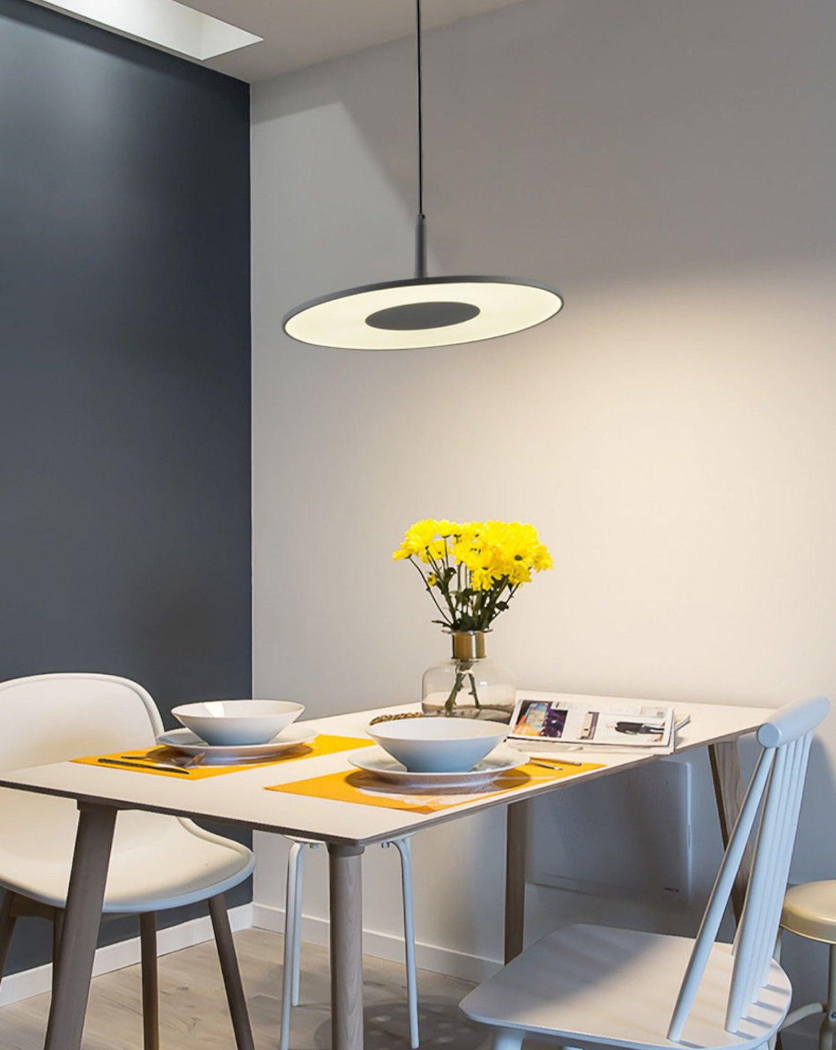 Circa LED Pendant Light – Modern Architectural Suspension Lamp