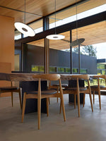 Circa LED Pendant Light – Modern Architectural Suspension Lamp
